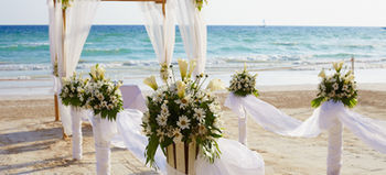 Outdoor Wedding Area